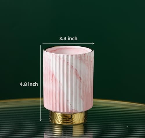 IEEK Pink and Gold Makeup Brush Holder Organizer