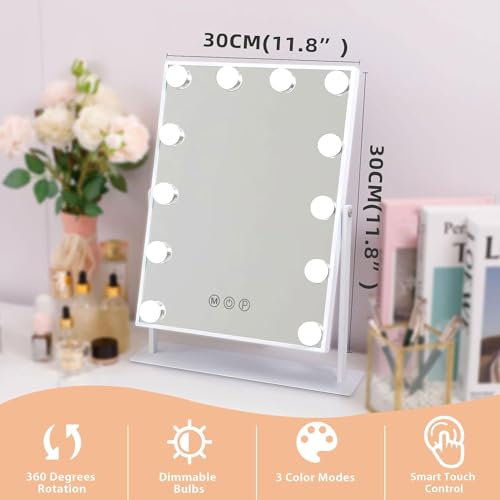 Fenair Vanity Mirror with 10X Magnification and Lights