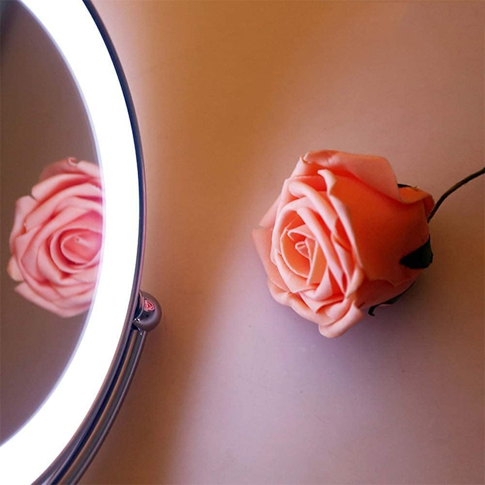 Vanity Mirror Wall Mounted Led 8 Inch 10X Magnification